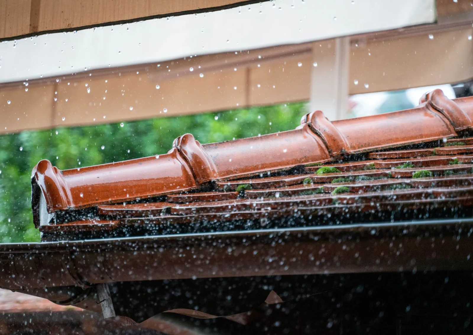 The roof problems worth fixing before winter on the South Coast